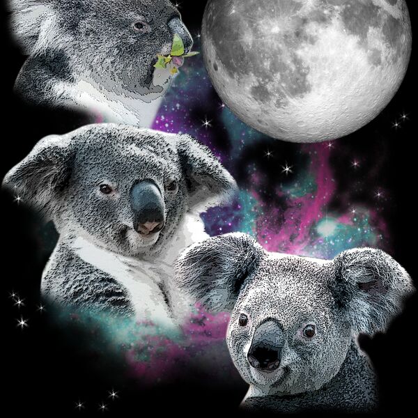 Three Koala Moon Thumbnail