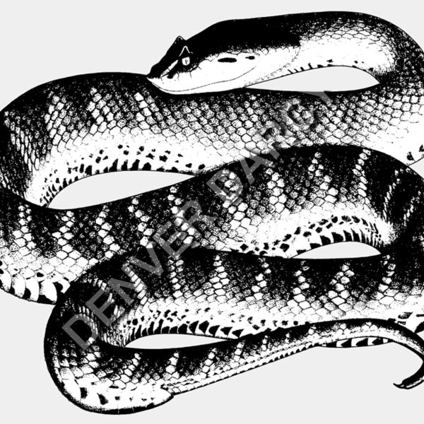 Adder Thumbnail