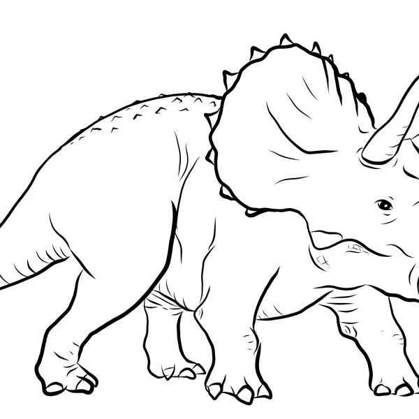 Triceratops Sketch Thumbnail