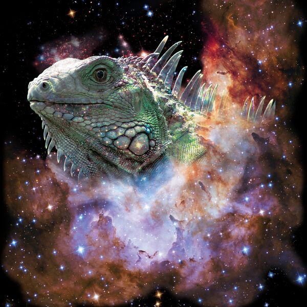 Iguana Galaxy Thumbnail