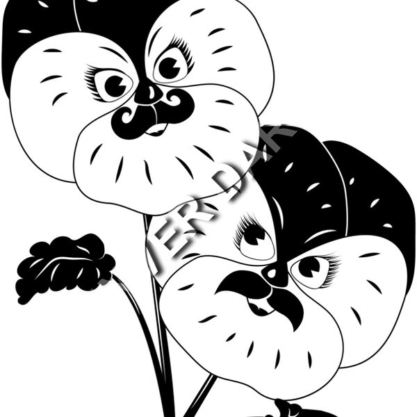 Dandy Pansies Thumbnail